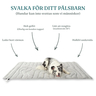 Svalkan™ – Håller din hund sval hela sommaren